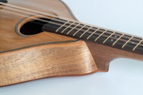 Octave mandolin detail
