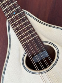 Irish bouzouki